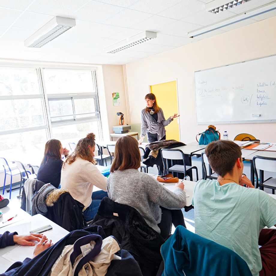 Gestion administrative et commerciale des organisations